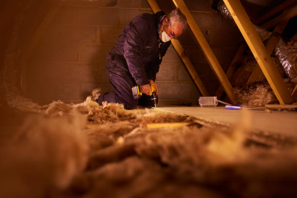 Best Geographic-Specific Insulation Services in North Kensington, MD